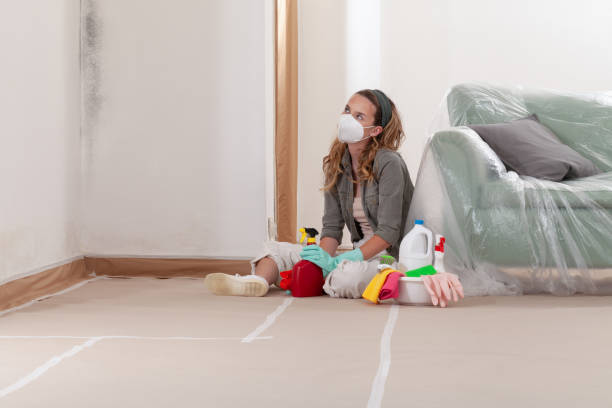 Reliable Basement Mold Removal contractor in Laurel, MD by Cheap Mold Removal